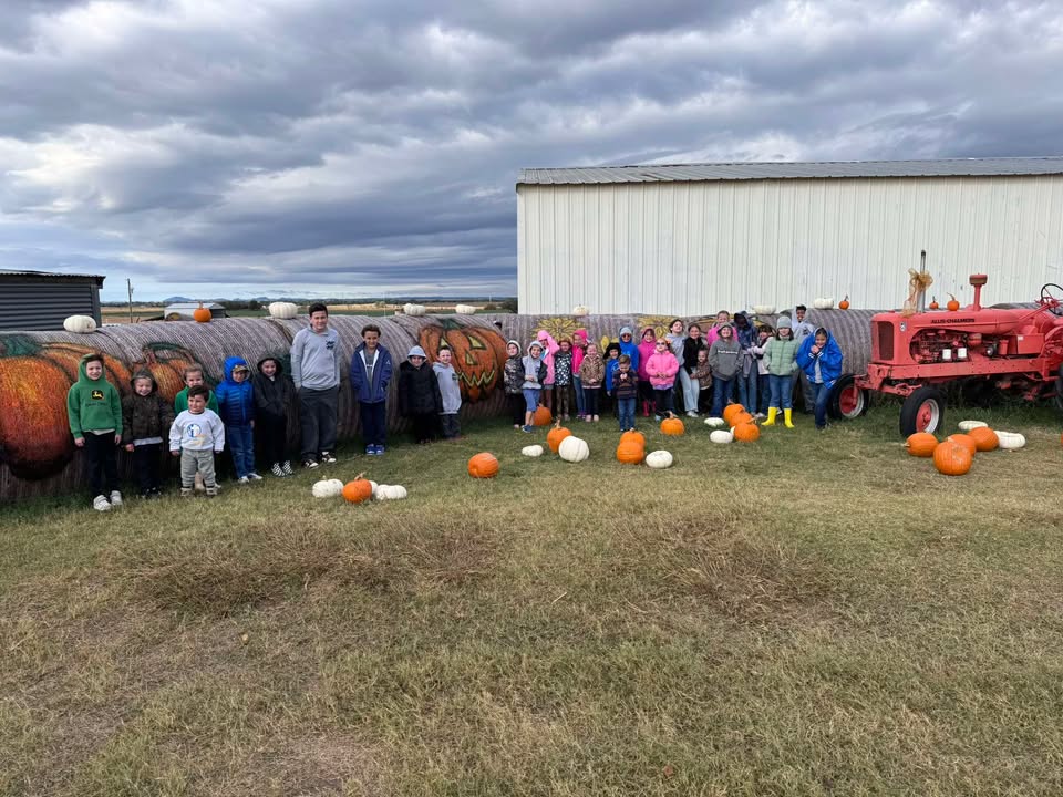 Pumpkin Patch Field Trip